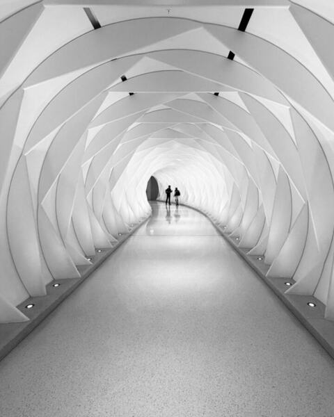 Photograph Ingrida Kuznecova Museum Of Future Dubai on One Eyeland